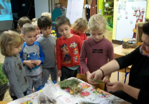 Dzieci tworzą swoje własne kukiełki z naturalnych materiałów takich jak gałązki świerku, szyszki itp., korak